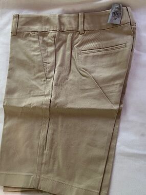 Ann Taylor Shorts Size 2p